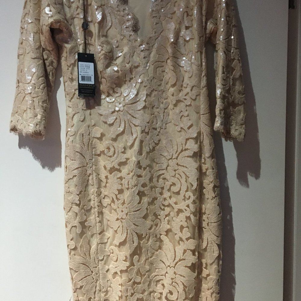 Tadashi Shoji Dress